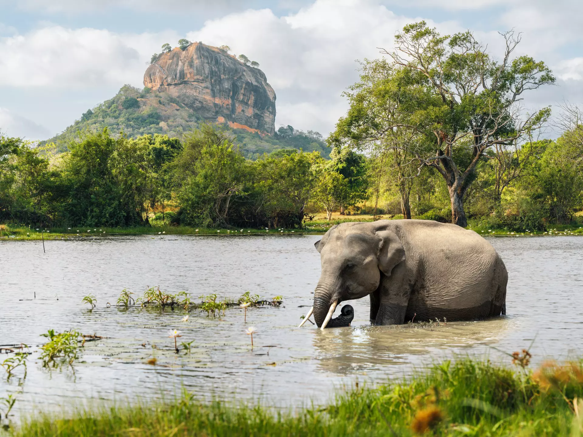 Srilanka