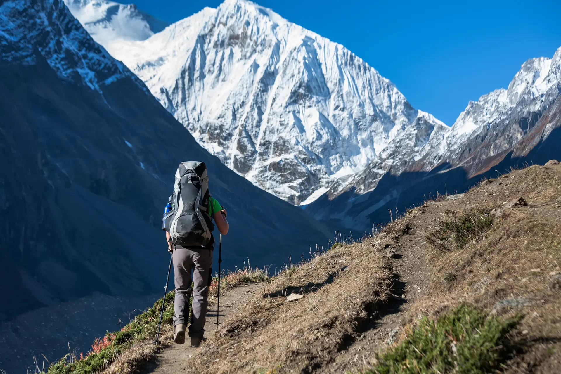 Himalayan Trekking or a Scenic Mountain Flight